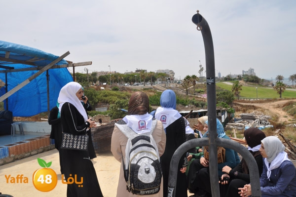 wafednesa2y517 (15).JPG